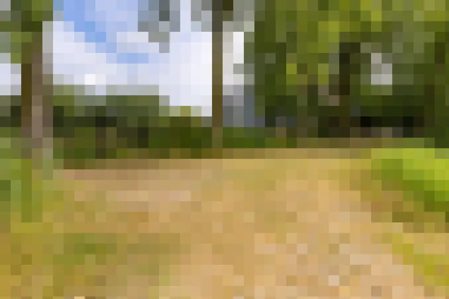 Heuvel 107 Druten thumbnail 7