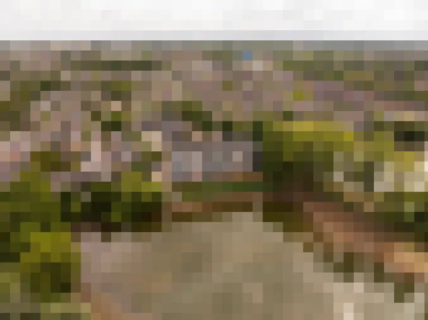 Heuvel 107 Druten thumbnail 8