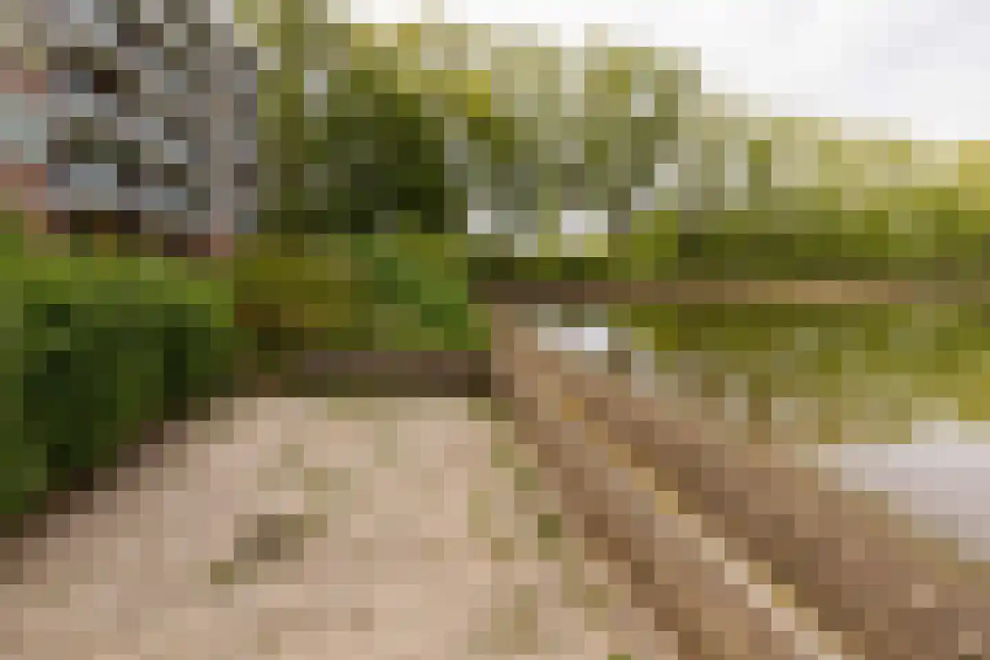Heuvel 107 Druten thumbnail 9