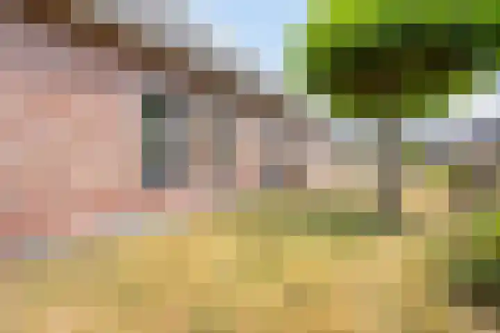 Heuvel 11 a Vorstenbosch thumbnail 38