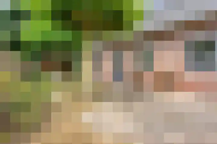 Heuvel 11 a Vorstenbosch thumbnail 39