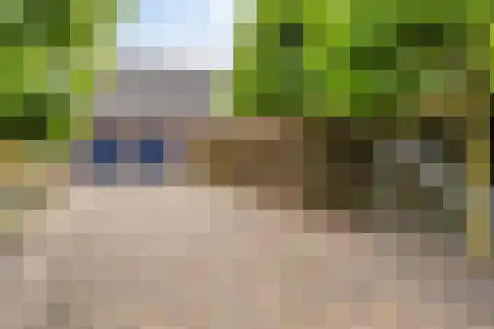 Heuvel 11 a Vorstenbosch thumbnail 46