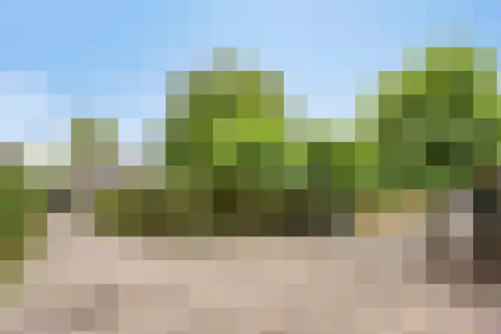 Heuvel 11 a Vorstenbosch thumbnail 47