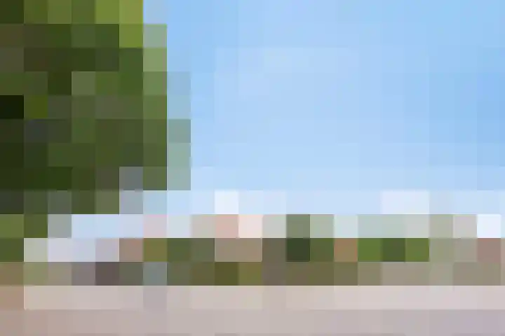 Heuvel 11 a Vorstenbosch thumbnail 49