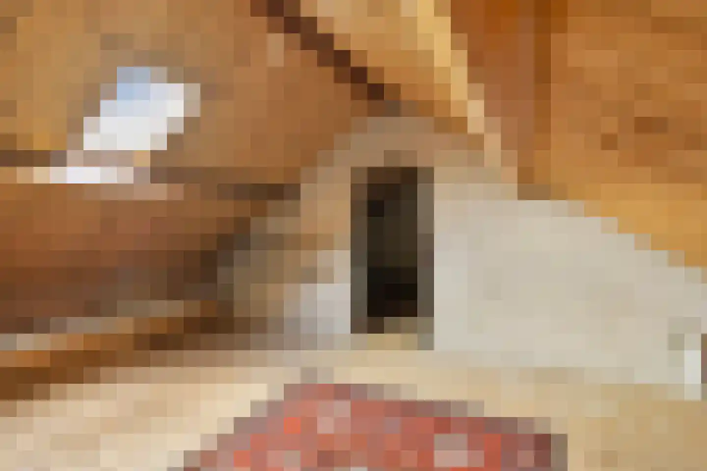 Heuvel 11 's-Hertogenbosch thumbnail 32