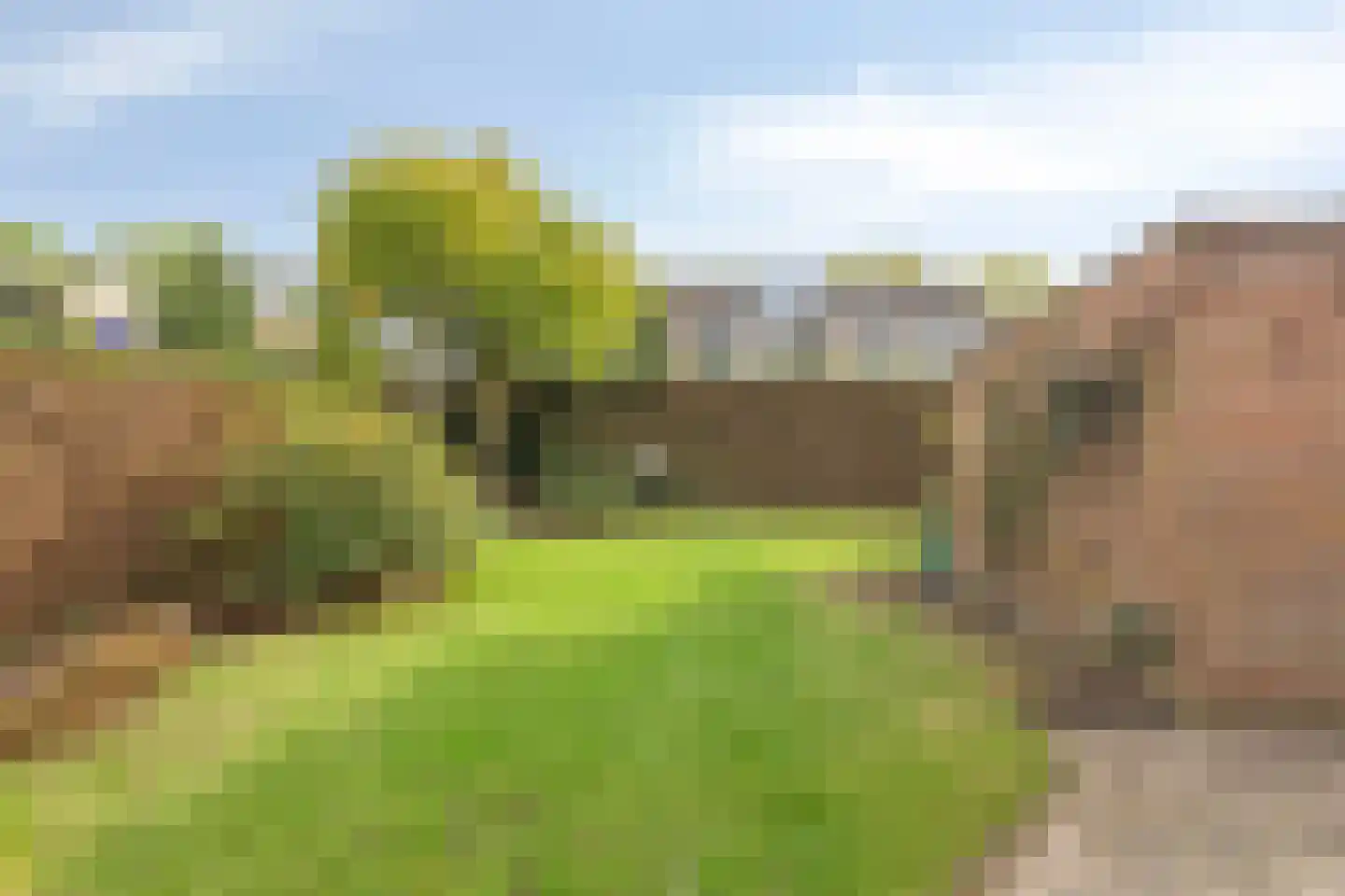 Heuvel 11 's-Hertogenbosch thumbnail 34