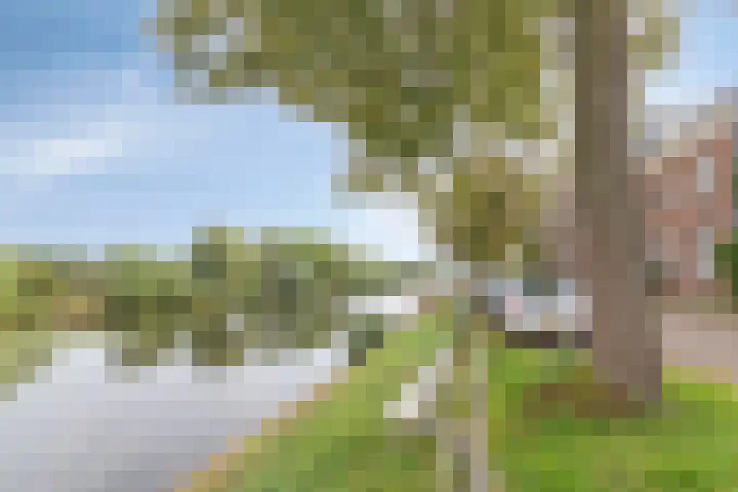 Heuvel 11 's-Hertogenbosch thumbnail 44