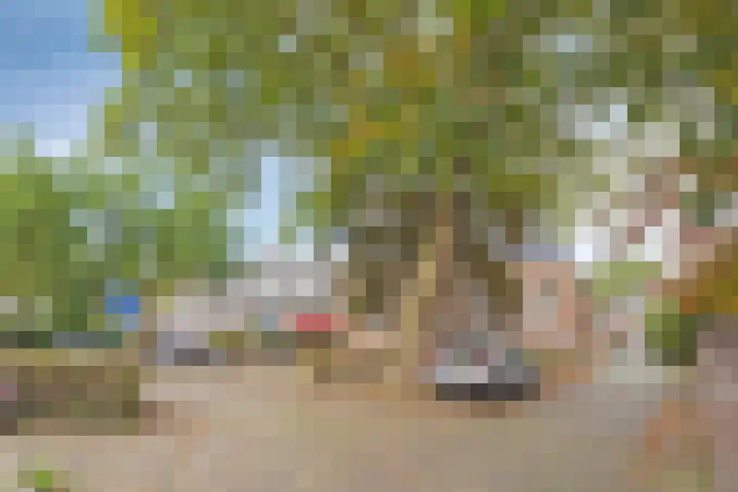 Heuvel 11 's-Hertogenbosch thumbnail 46