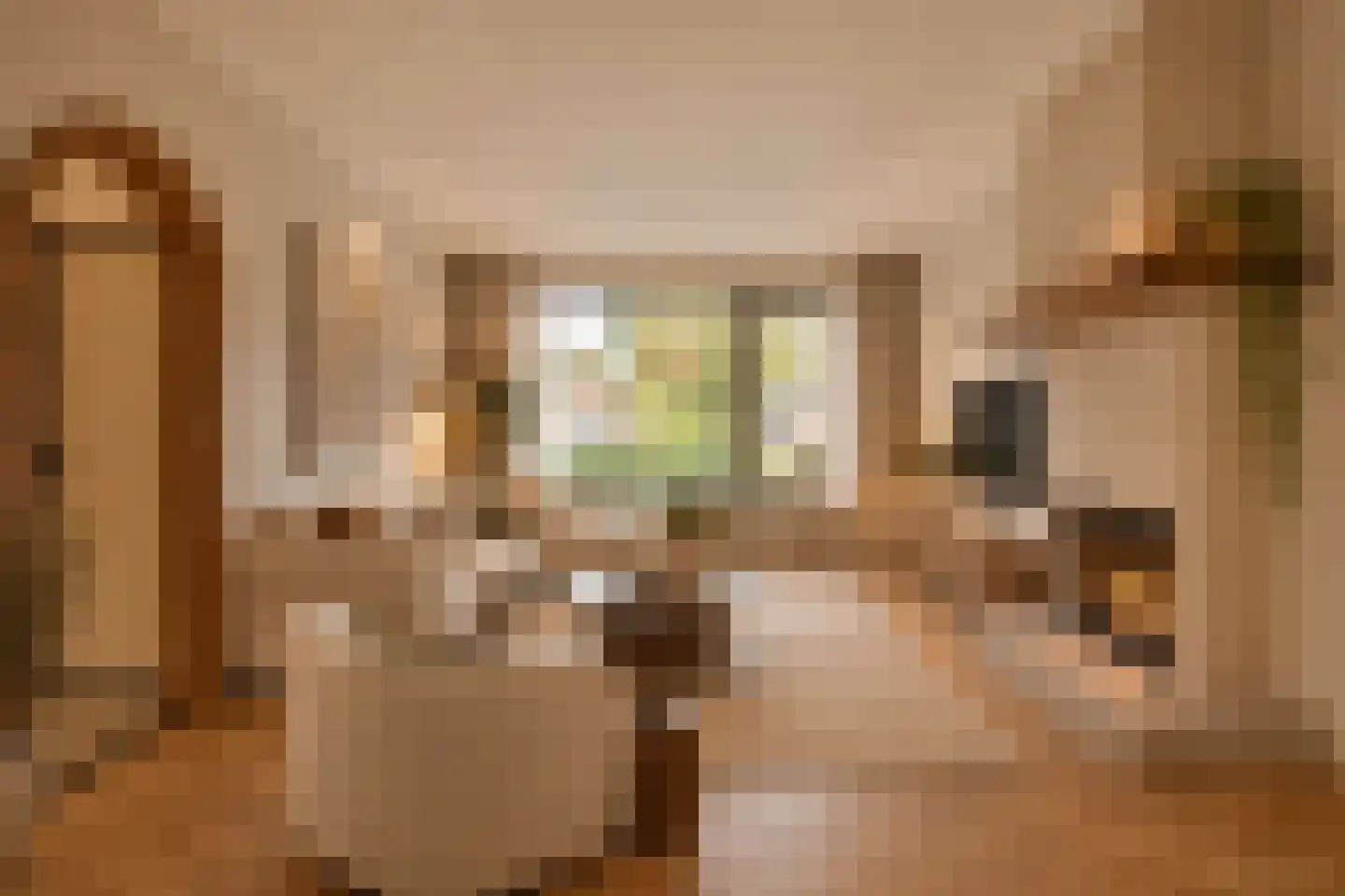 Heuvel 11 's-Hertogenbosch thumbnail 8