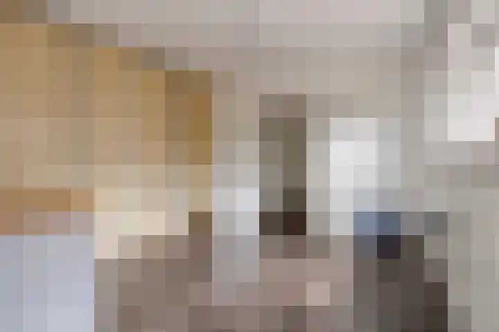 Heuvel 11 Vorstenbosch thumbnail 16