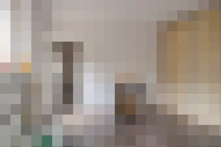 Heuvel 11 Vorstenbosch thumbnail 17