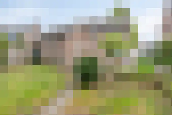 Heuvel 11 Vorstenbosch thumbnail 32