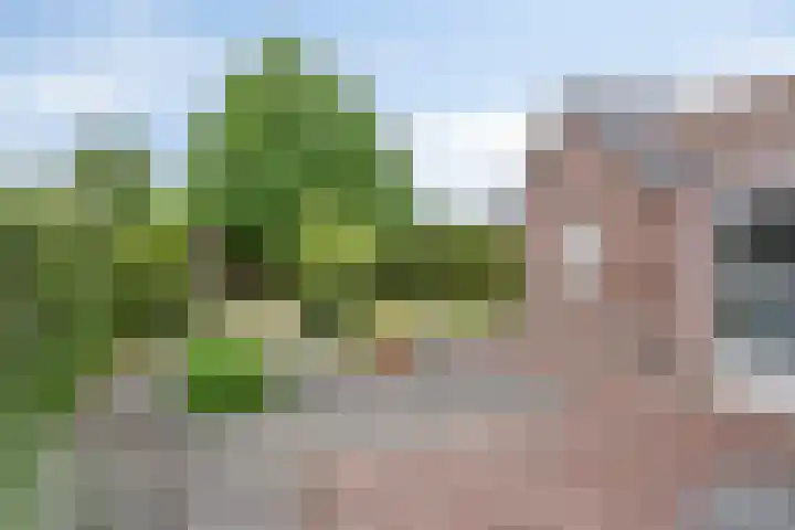 Heuvel 11 Vorstenbosch thumbnail 33