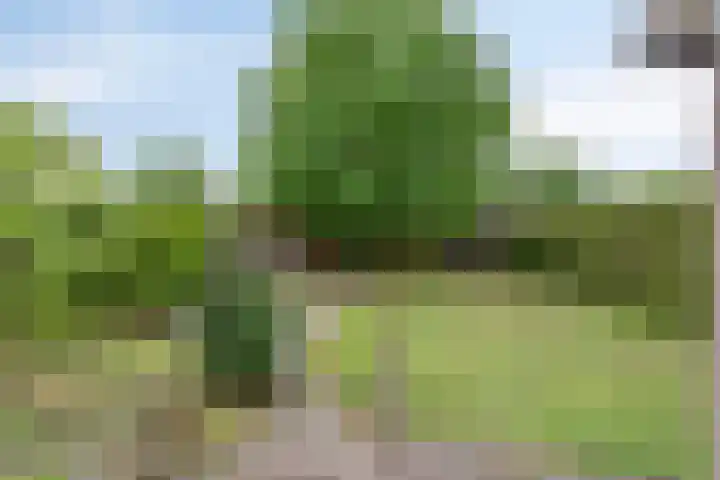Heuvel 11 Vorstenbosch thumbnail 35