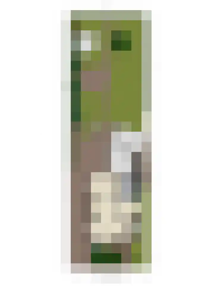 Heuvel 11 Vorstenbosch thumbnail 39