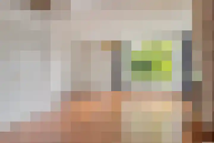 Heuvel 11 Vorstenbosch thumbnail 7