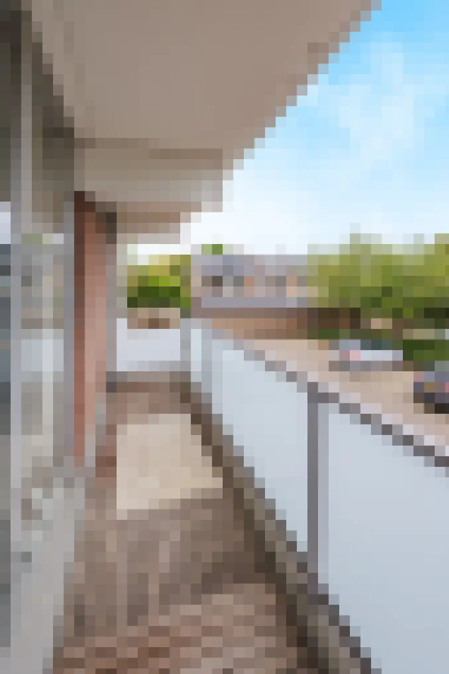 Heuvel 115 Druten thumbnail 20