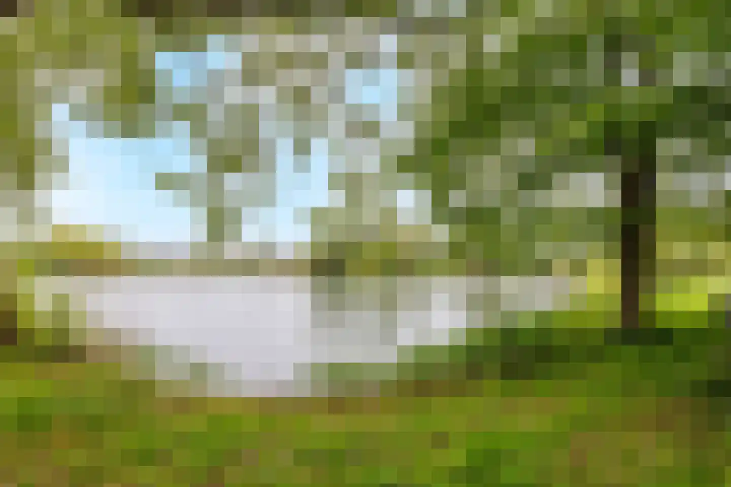 Heuvel 115 Druten thumbnail 25