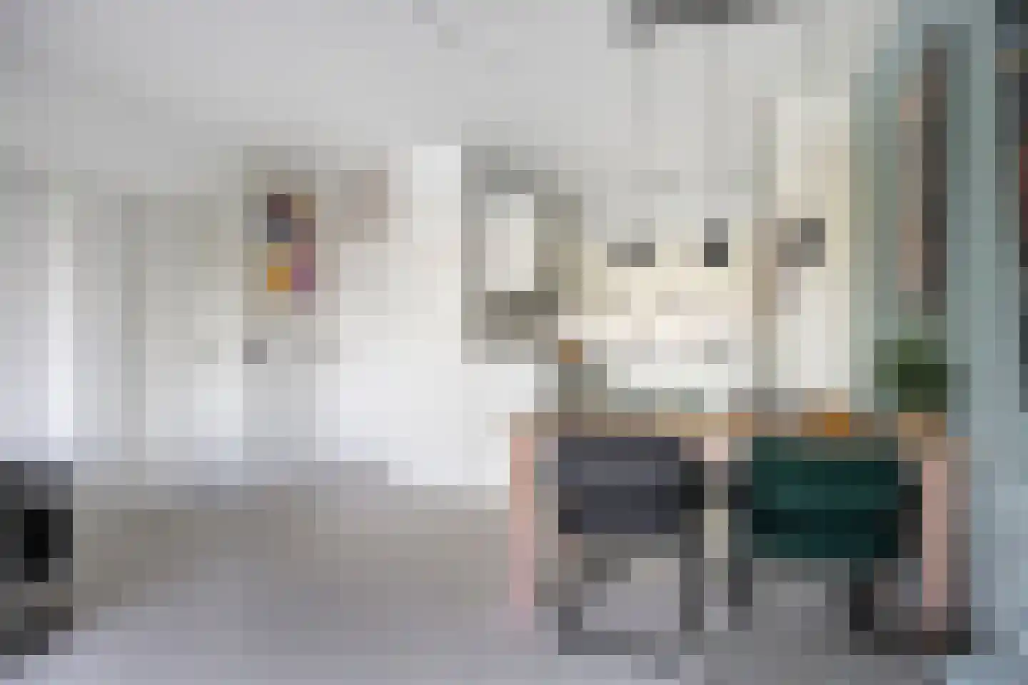 Heuvel 121 Druten thumbnail 11