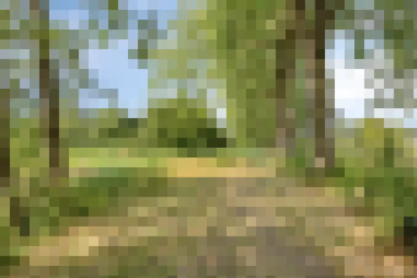 Heuvel 121 Druten thumbnail 27