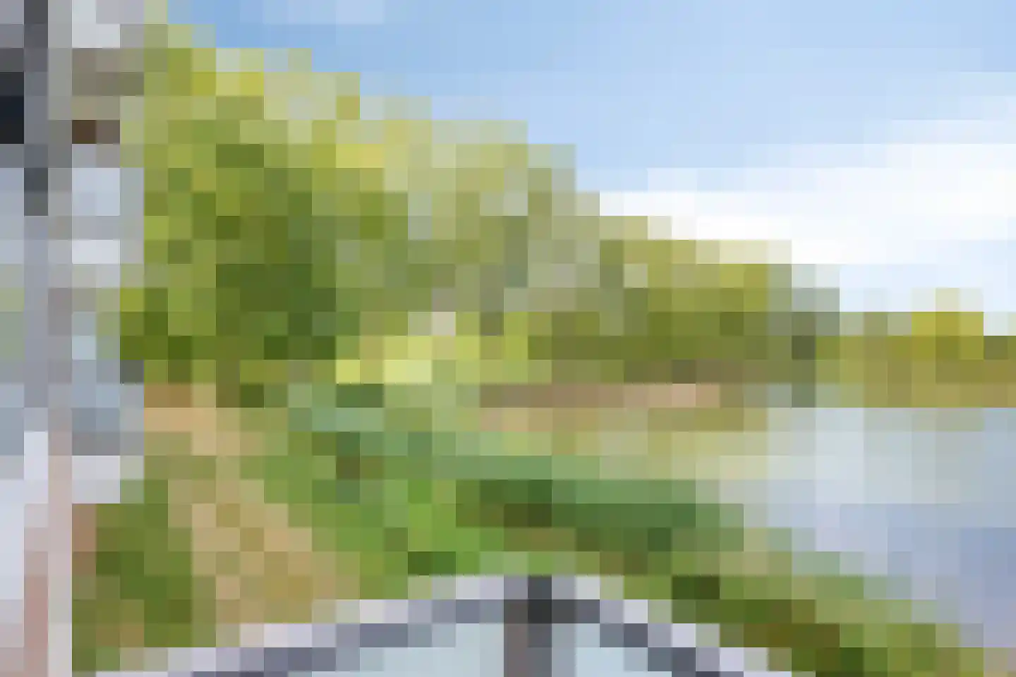 Heuvel 121 Druten thumbnail 4