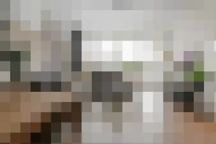 Heuvel 127 Druten thumbnail 10