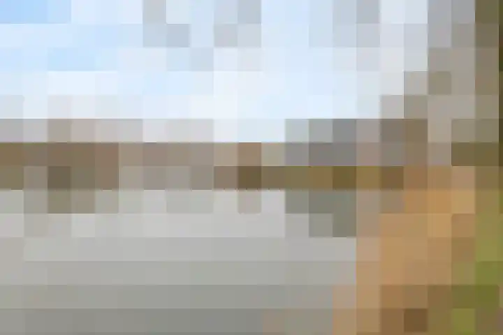 Heuvel 127 Druten thumbnail 29