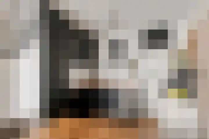 Heuvel 127 Druten thumbnail 4