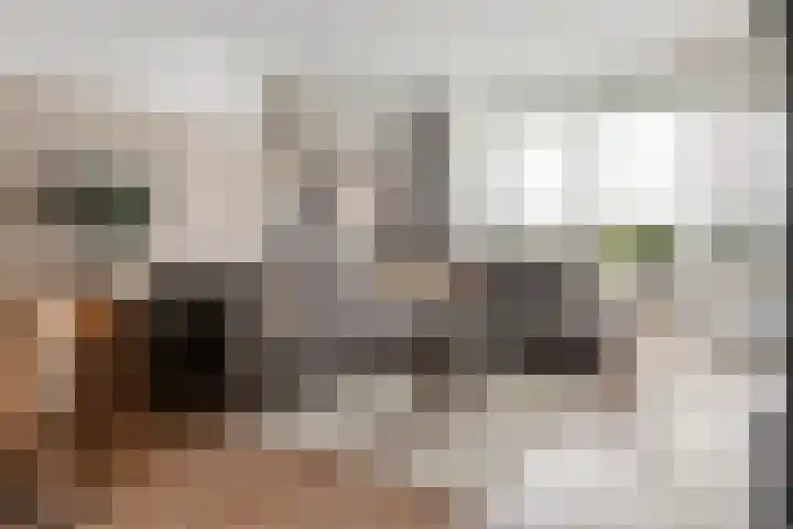 Heuvel 127 Druten thumbnail 7