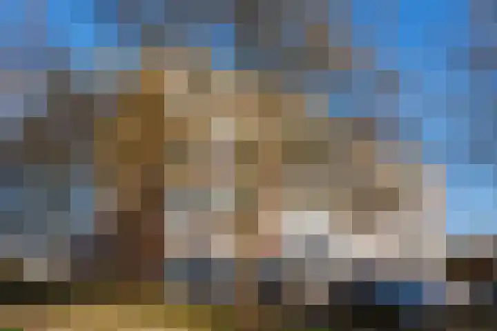 Heuvel 133 Druten thumbnail 33