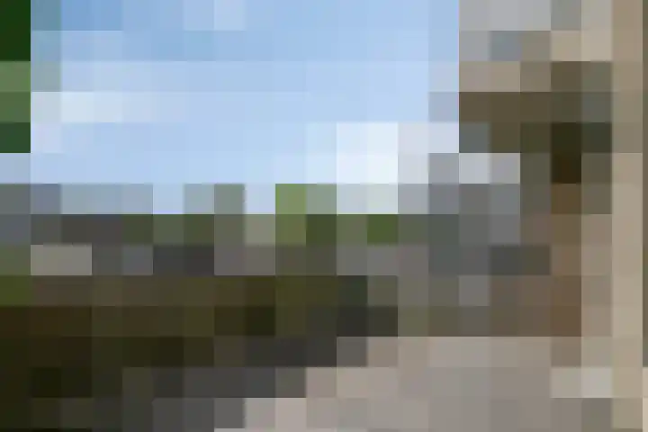 Heuvel 15 D Veldhoven thumbnail 26
