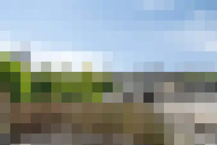 Heuvel 15 D Veldhoven thumbnail 27