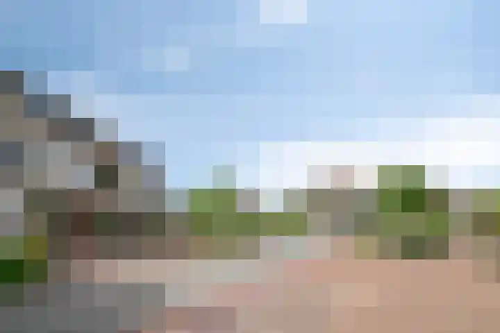 Heuvel 15 D Veldhoven thumbnail 29