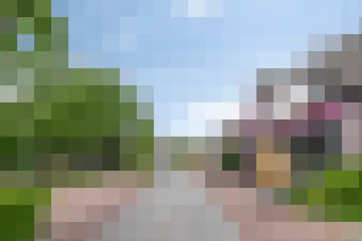 Heuvel 15 D Veldhoven thumbnail 33