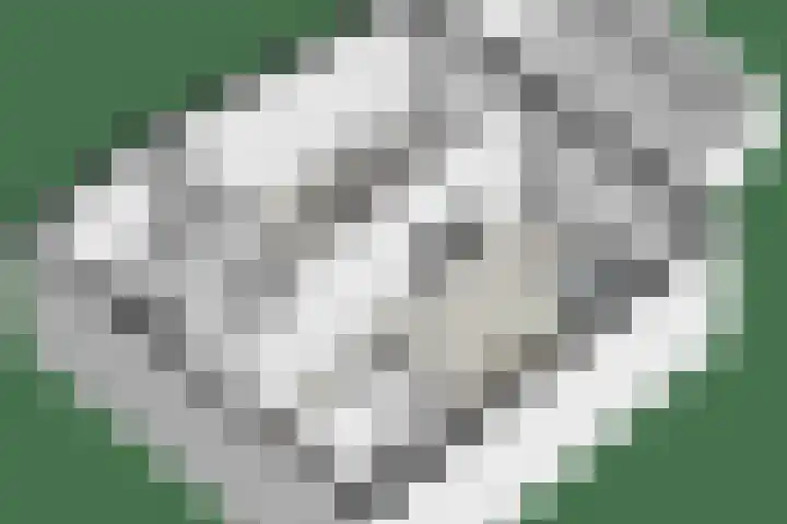 Heuvel 15 D Veldhoven thumbnail 37