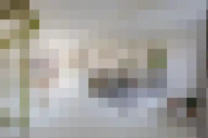 Heuvel 15 Roermond thumbnail 10