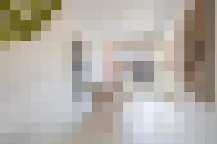 Heuvel 15 Roermond thumbnail 12