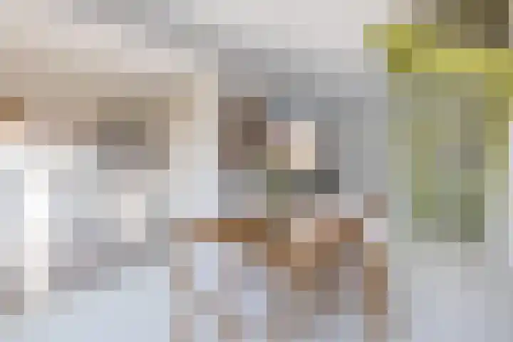 Heuvel 15 Roermond thumbnail 14