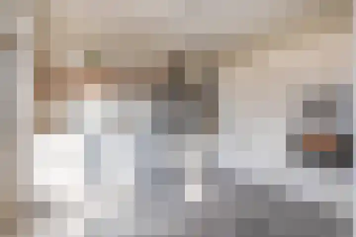 Heuvel 15 Roermond thumbnail 15