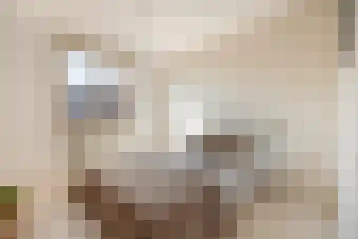 Heuvel 15 Roermond thumbnail 20