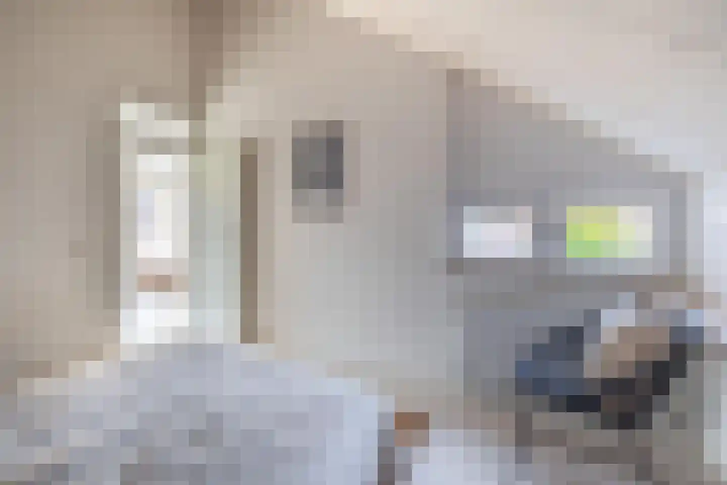 Heuvel 15 Roermond thumbnail 22