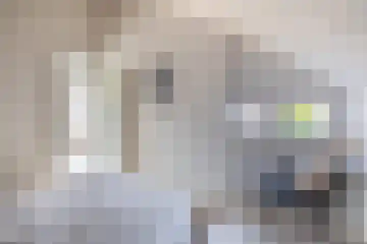 Heuvel 15 Roermond thumbnail 22