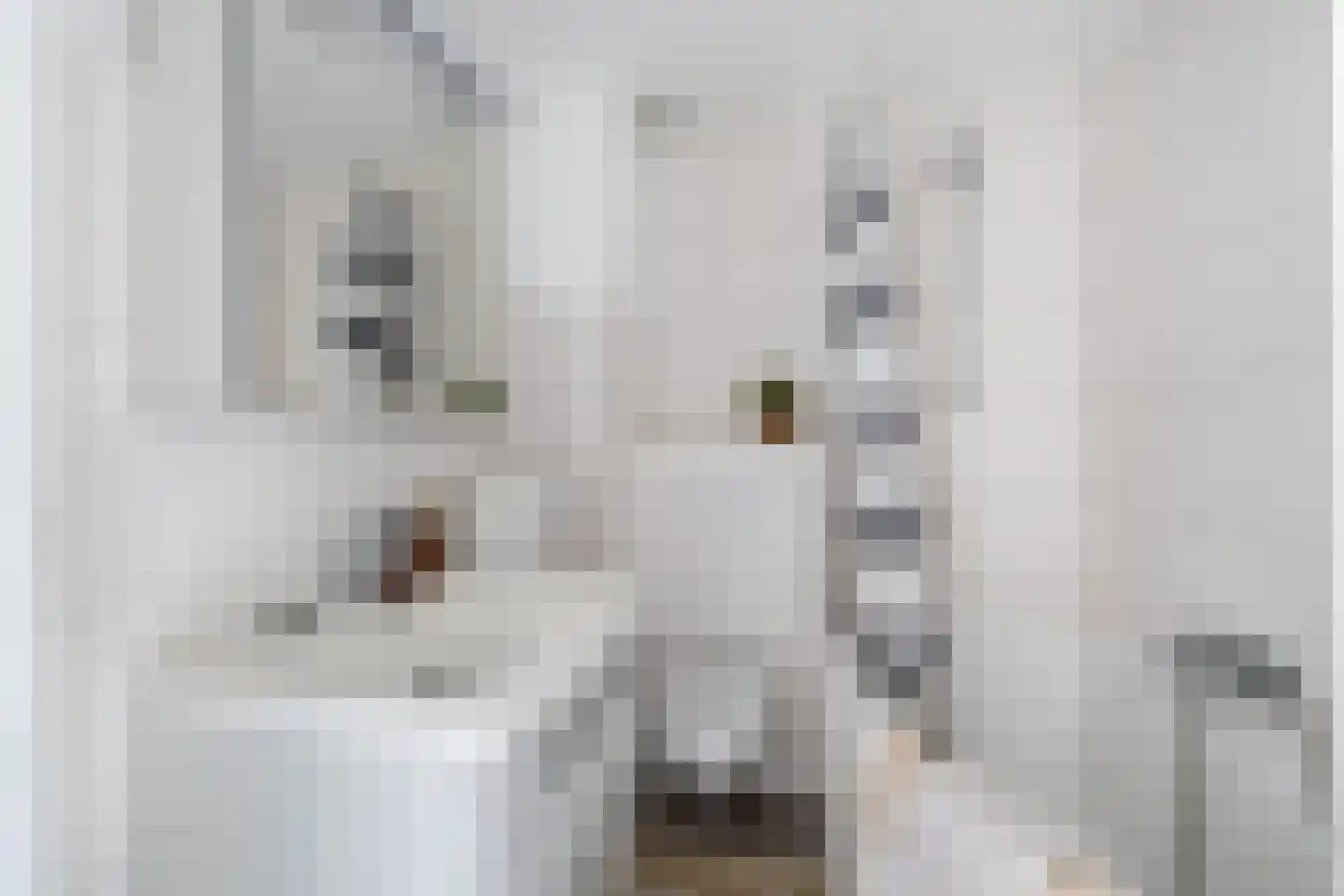 Heuvel 15 Roermond thumbnail 24