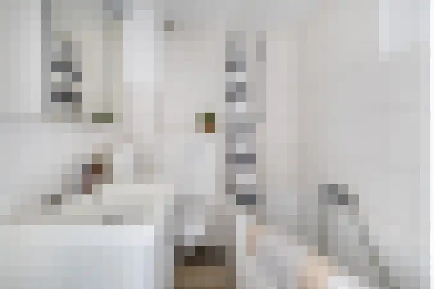 Heuvel 15 Roermond thumbnail 25