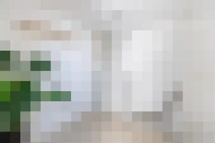 Heuvel 15 Roermond thumbnail 26