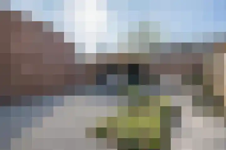 Heuvel 15 Roermond thumbnail 34