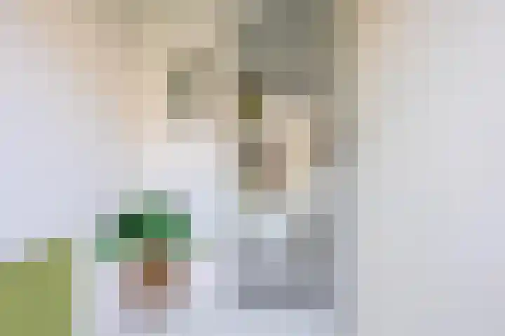 Heuvel 15 Roermond thumbnail 5