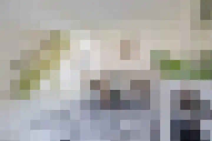 Heuvel 15 Roermond thumbnail 8