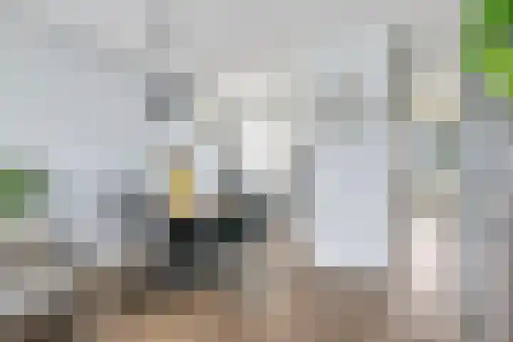 Heuvel 153 Druten thumbnail 10