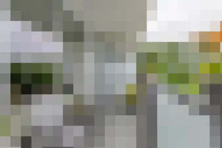 Heuvel 153 Druten thumbnail 12